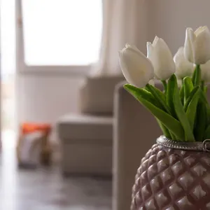 Il Sole In Casa Appartamento Lavagna